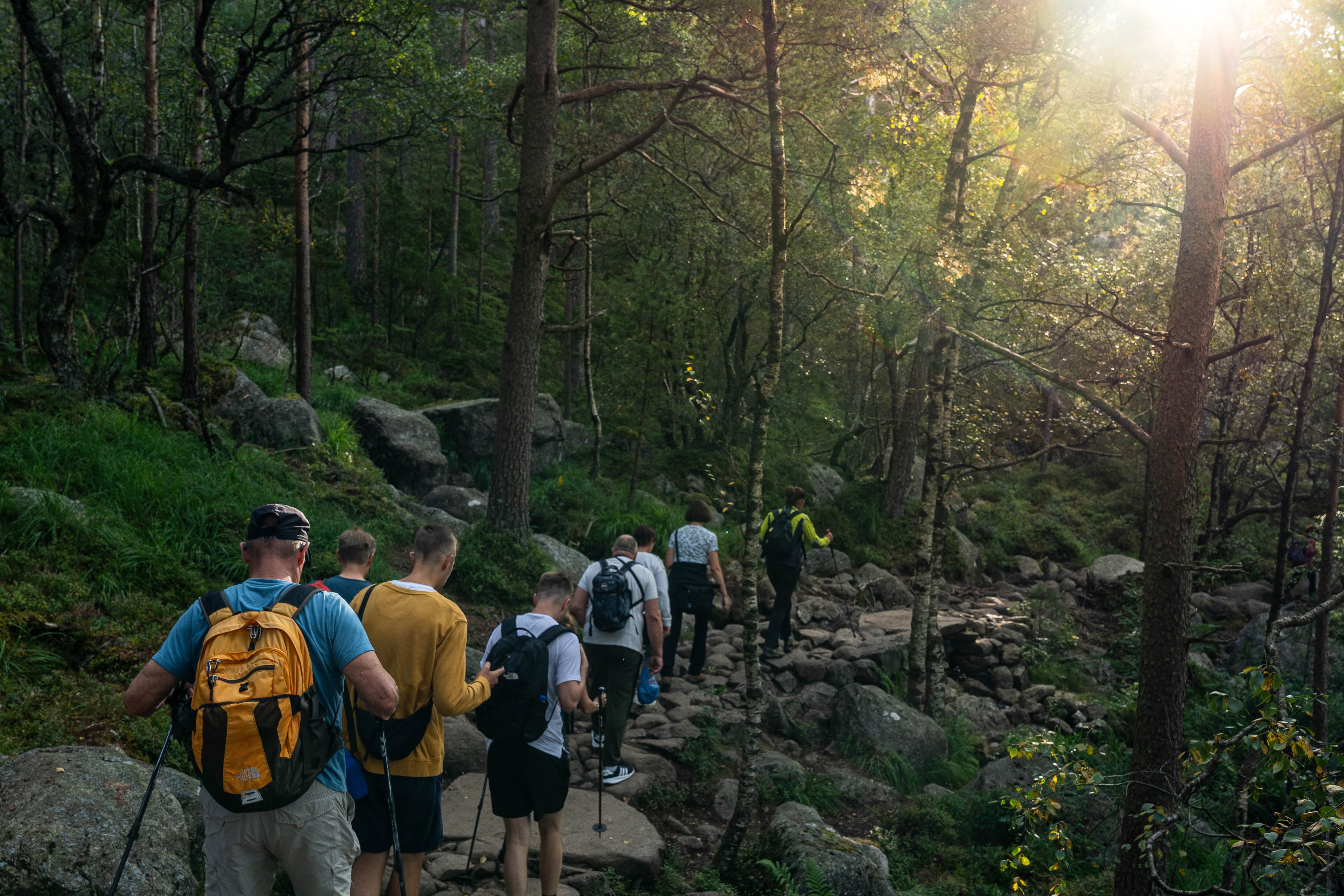 Get Guided Norway electric van